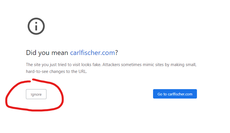 Google Chrome Error